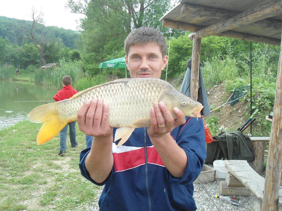 icn carp - 145243713904123611991702058106920n.jpg